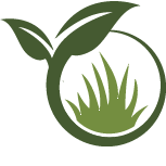 Blue Spruce Planting Pros