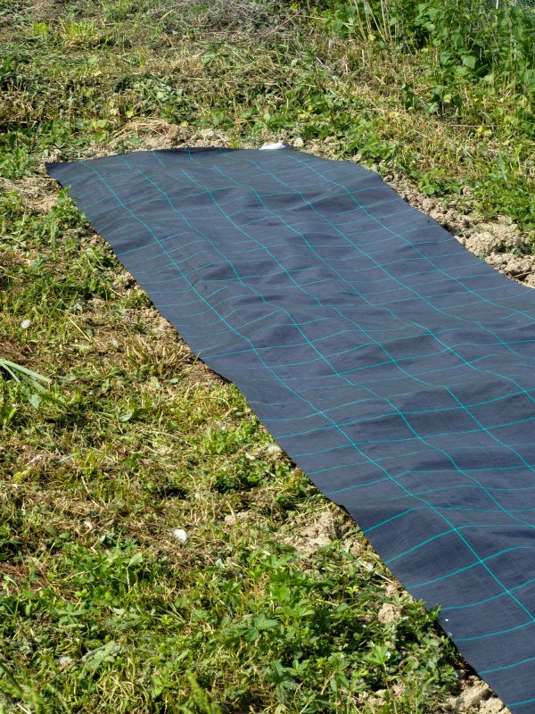 Black Mulch Installation in Ventura County, CA