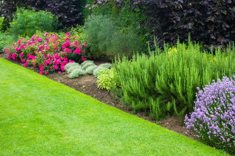 Boxwood Planting in Ventura County, CA