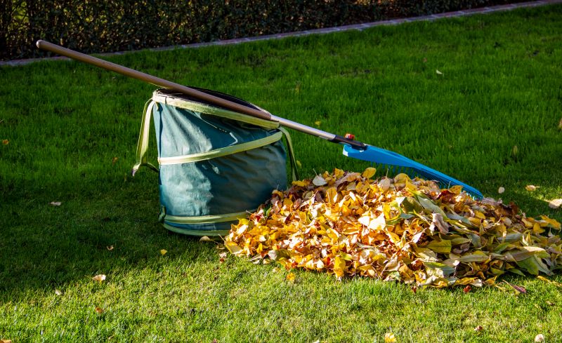 Leaf Disposal Strategies
