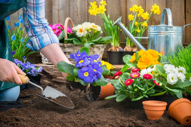 Flower Planting Service in Ventura County, CA