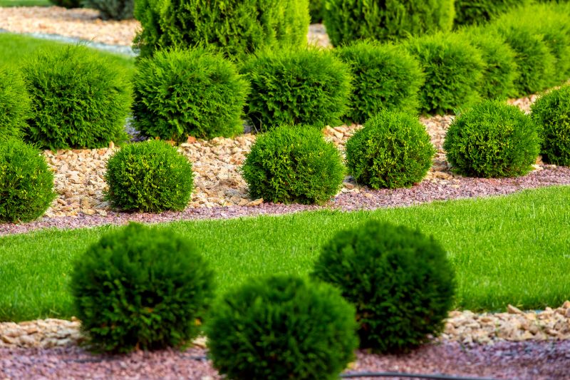 Hedge Installation in Ventura County, CA
