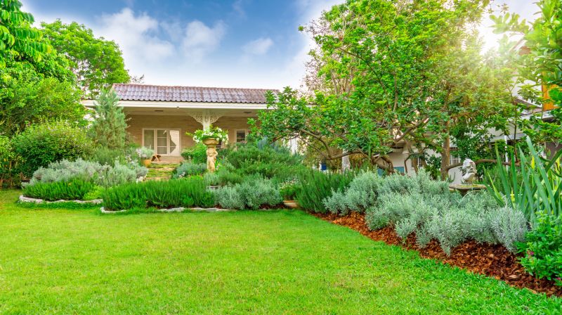 Hedge Planting in Honolulu, HI