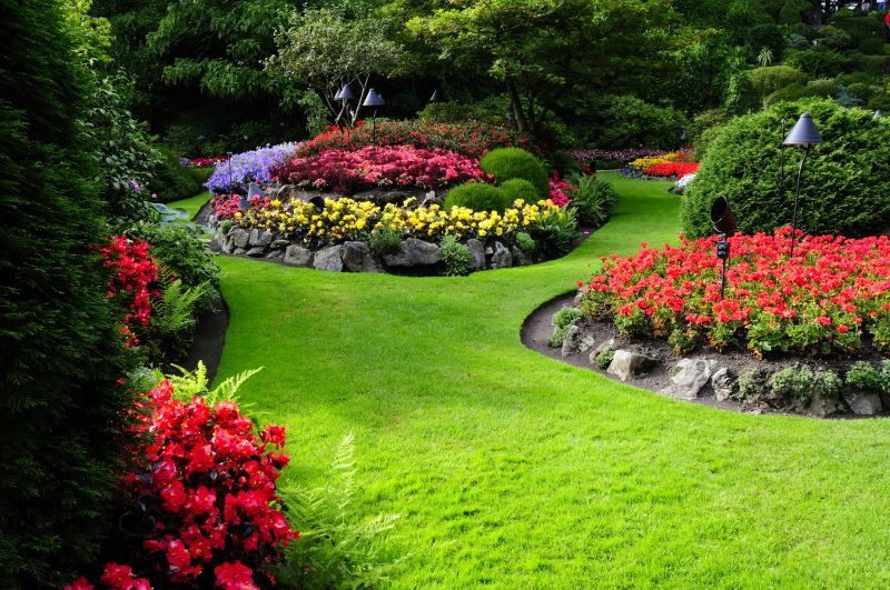 Colorful Flower Beds