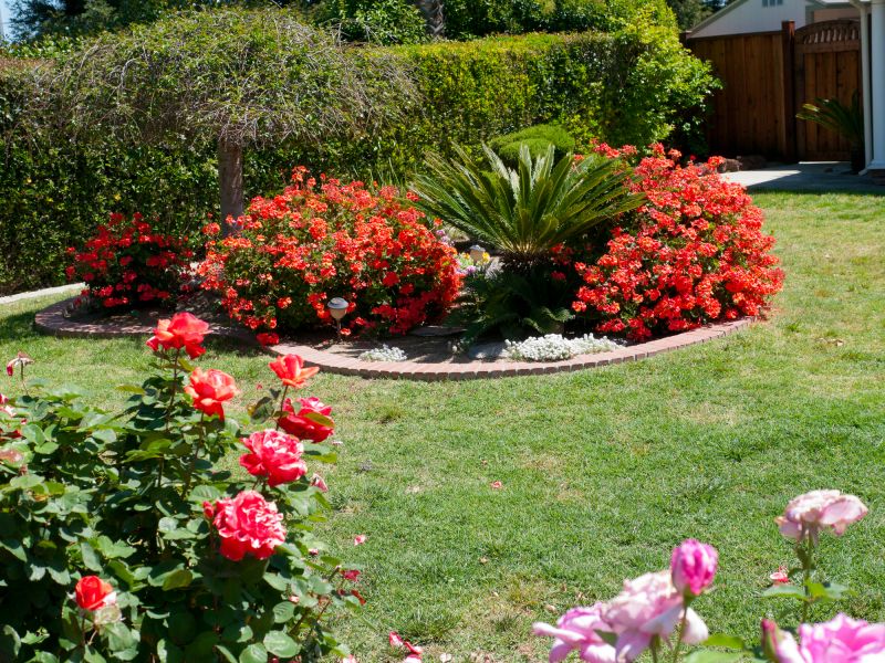 Landscaping Installation in Honolulu, HI
