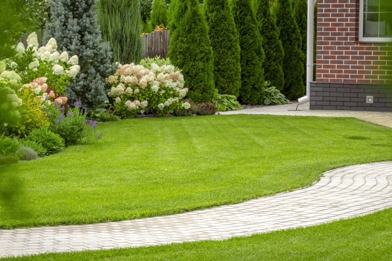 Pond Landscaping Service in Honolulu, HI