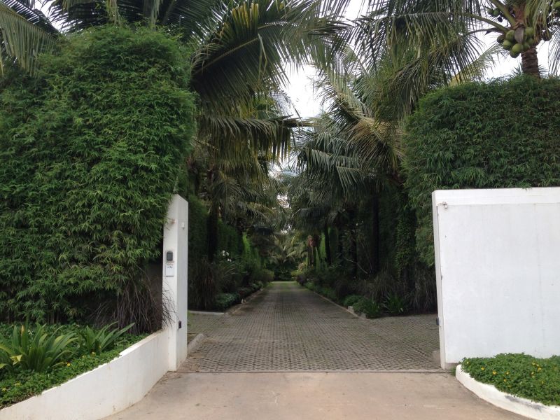 Tree Installation Service in Honolulu, HI