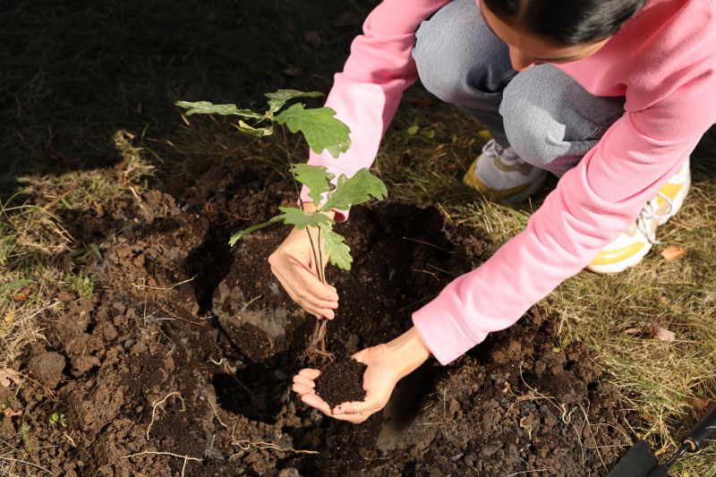 Tree Landscaping in Ventura County, CA