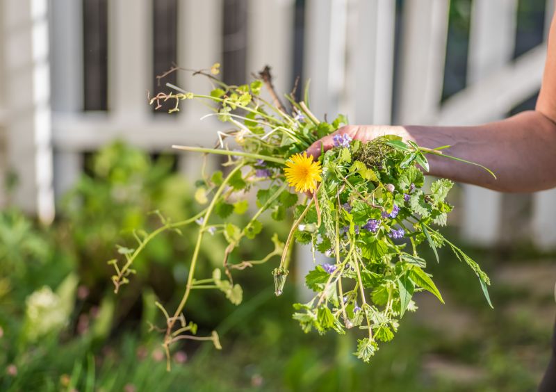 Weeding And Mulching in Honolulu, HI