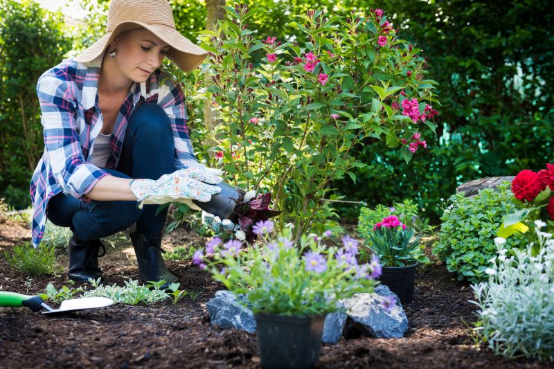 Bush Planting Service in Honolulu, HI