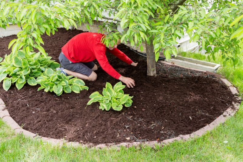 Shredded Mulch Service in Honolulu, HI